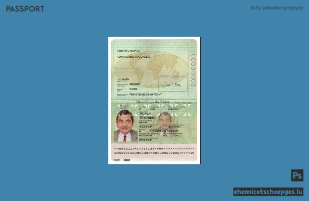 Beispielansicht eines Benin-Passes